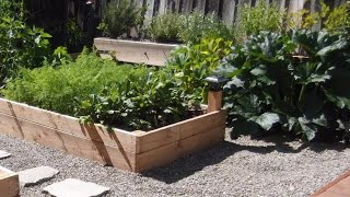 How to plan and build a keyhole garden part 1