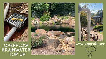 Installing overflow and rainwater top up on dream pond