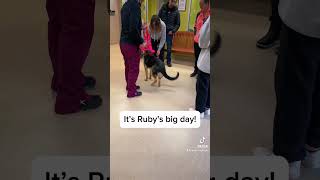 Ruby Adoption