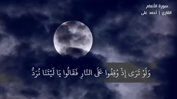 ولو ترى إذ وقفوا على النار - القارئ احمد علي