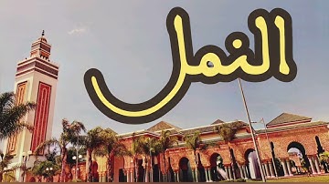 27 سورة النمل القارئ عبد الرحمن بنموسى القرآن الكريم ورش عن نافع