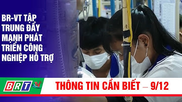 BR-VT tập trung đẩy mạnh phát triển công nghiệp hỗ trợ | BRT TV