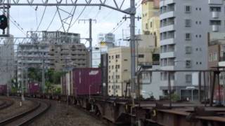 JR貨物 EF65 116号機 貨物列車 元町