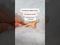 درخواست شورت سینگل داشتین کدومه بنظرتون Cutefunny Funnyimages Funny درخواست شورت سینگل داشتین کدومه بنظرتون Cutefunny Funnyimages Funny