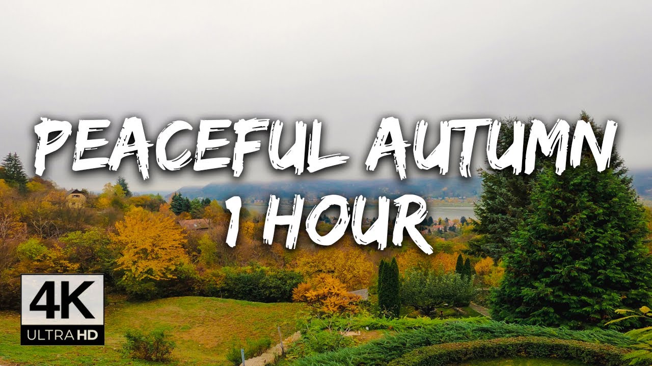⁴ᴷ⁶⁰ Peaceful Autumn - Nature Sounds & Relaxing Nature Video