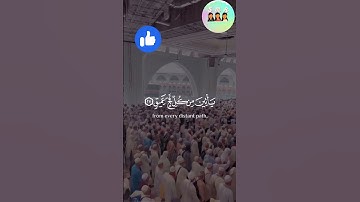 (وأذن في الناس بالحج يأتوك رجالا) - سورة الحج - القارئ عبدالرحمن مسعد