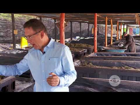 Ingenio en la elaboración de camas para lombricultura | La Finca de Hoy