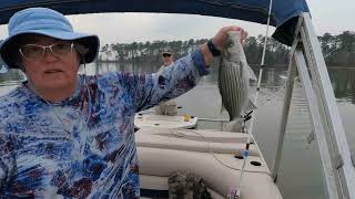 Largemouth Bass, Rock Fish, and Bonus Crappie - Great Catch at Clarks Hill by Little Horse Creek Adventures 139 views 1 year ago 33 minutes