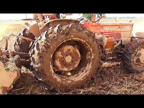 Amazing powerful old tractor with rotary tiller at work on two big tire