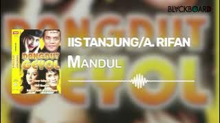 Iis Tanjung feat A Rifan - Mandul