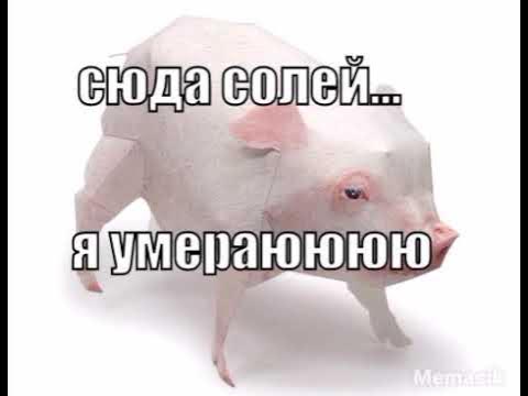 Дай мне соль мем сюда солей... #мемы #комедия #свинья - YouTube