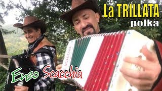 Video thumbnail of "LA TRILLATA (super polka) ENZO SCACCHIA il Re dell'organetto® e ALFONSO LA TORRACA alla fisarmonica"