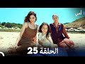 أمي الحلقة 25 النهاية  