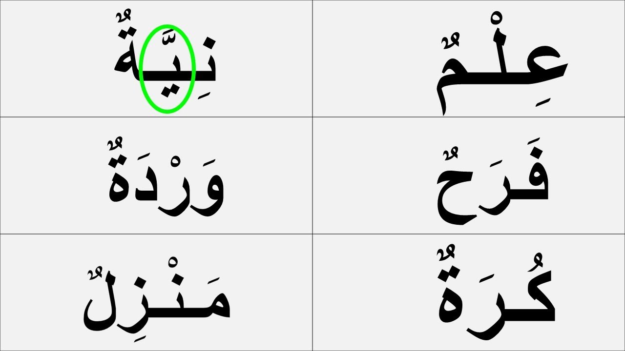 تعلم بطريقة صحيحة ومفهومة  قراءة وكتابة كلمات مع مختلف الحركات