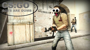 DUMB AI || CSGO BOTS ||