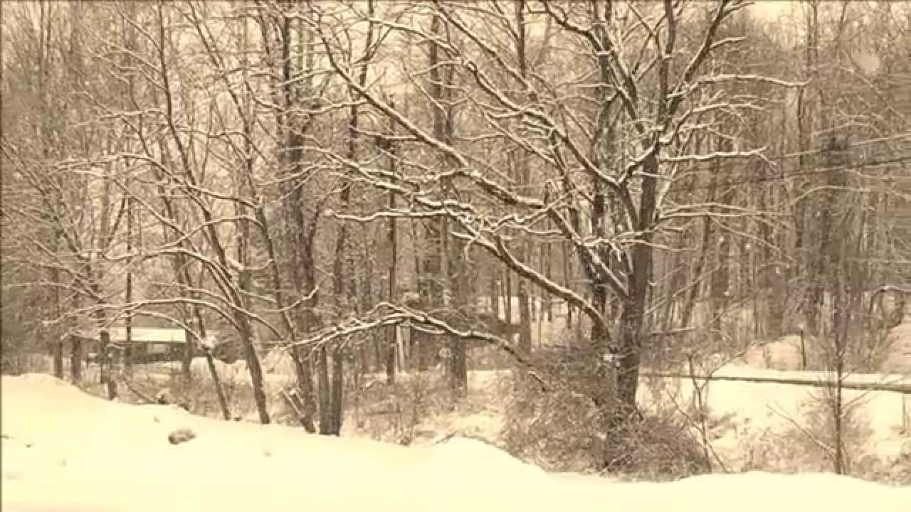 Hyde Park , New York Snow Fall YouTube