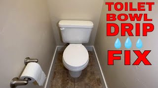 How to fix a dripping toilet  water leaking inside bowl