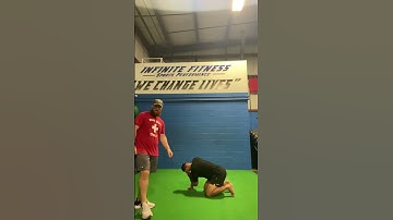 Quadruped Extension/Rotation