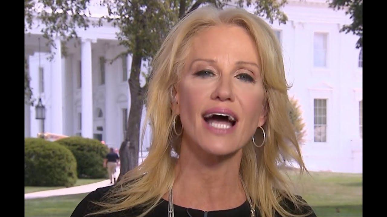 Kellyanne goes off the rails in defense of Trump