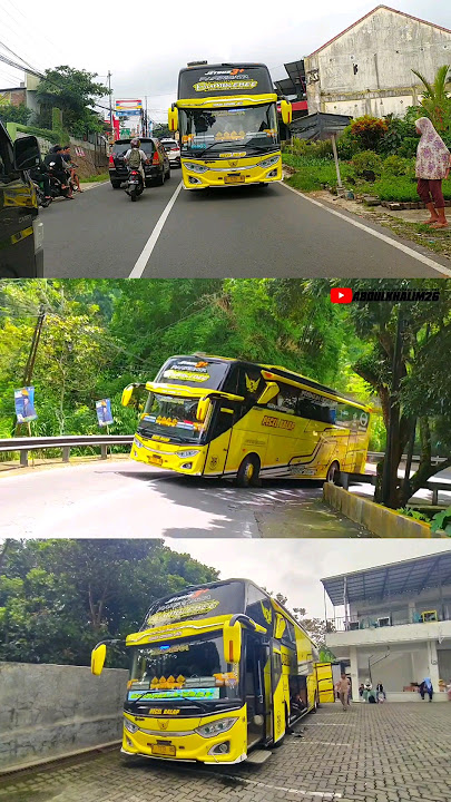 MEMBUNYIKAN MODUL DAV MUSICAL AIRHORN DI TANJAKAN BUS PECEL BALAP BUMBLEBEE #shorts #basuri