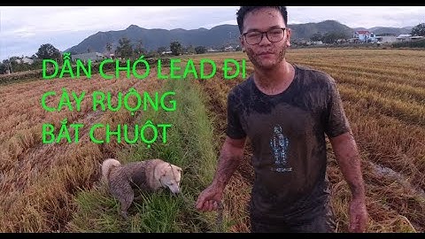 THỬ THÁCH CÙNG CHÓ CÀY RUỘNG VÀ BẮT CHUỘT || THƯỞNG PS