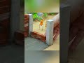 Burglar Burns Mini Cement House