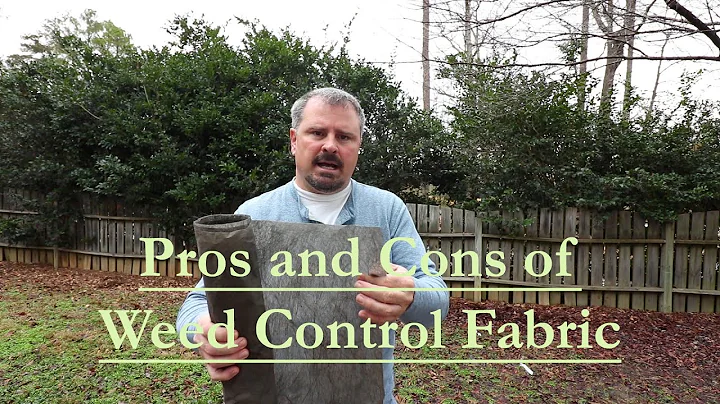 The Pros and Cons of using Weed Control Fabric (La...