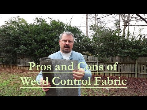 The Pros and Cons of using Weed Control Fabric (Landscape Fabric)