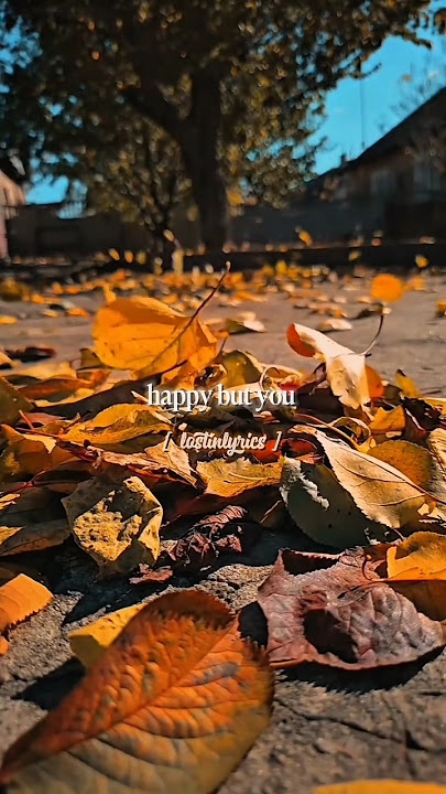 Numb little bug - Em beihold❤️✨💛|aesthetic |lyrics |status#shorts #lyrics #aesthetic #fypviralシ #fyp