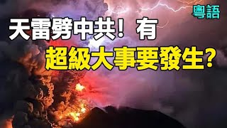 🔥🔥驚❗影到天雷闢中共❗台灣蟲子大遷