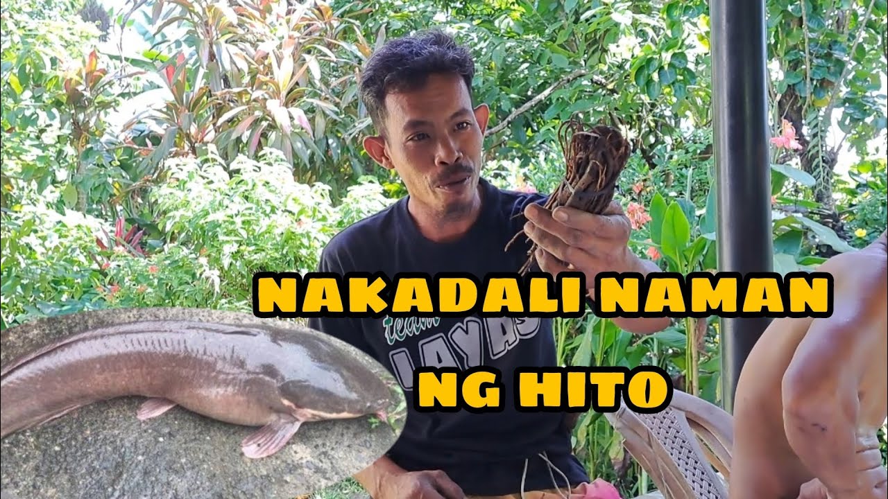 PANGHUHULI NG ISDA GAMIT ANG UGAT NG HALAMANG TUBLI.