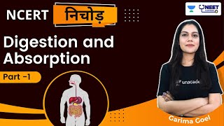 Digestion and Absorption | Part 1 | NCERT Nichod | Biology | Garima Goel | NEET 2022/2023
