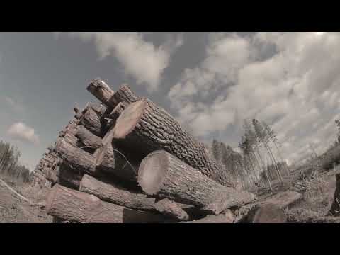 قناة خالد المخيني الثقافية البدايات