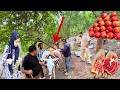 Wonderful Journey in Pomegranate Garden: Happy Day for Habib Family after Car Accident