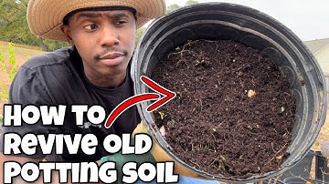 How to Re-use Old Potting Soil