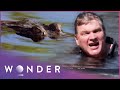 Ray Mears Ventures Into Crocodile Territory | Australian Wilderness S1 EP3 Mp3 Song