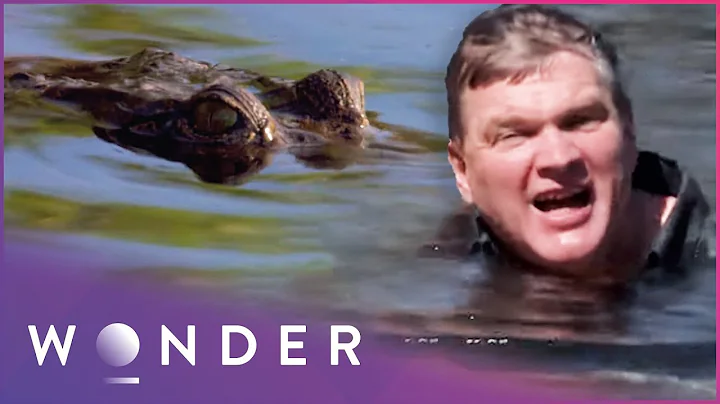 Ray Mears Ventures Into Crocodile Territory | Aust...