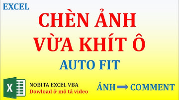 Chèn ảnh vào excel vừa khít ô (Auto fit picture), chèn ảnh vào comment