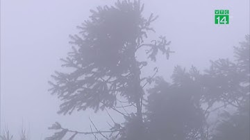 Tối mai, không khí lạnh tràn về gây rét đậm, rét hại diện rộng| VTC14