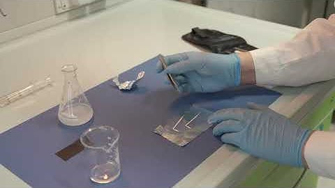 The first 3D-printed biodegradable seed robot, able to change shape in response to humidity