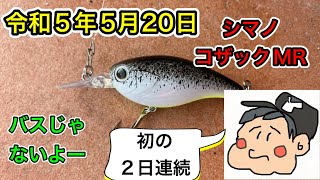 令和5年5月20日   ２日連続#コザック#ロイラ52#USJM plumber
