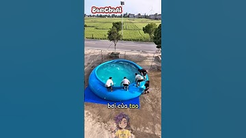 Anh Trai Bất Lực Trước Cái Bể Bơi 😱