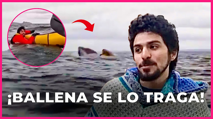 IMPACTANTE: Ballena se TRAGA a joven en Chile y lo escupe vivo 🐳