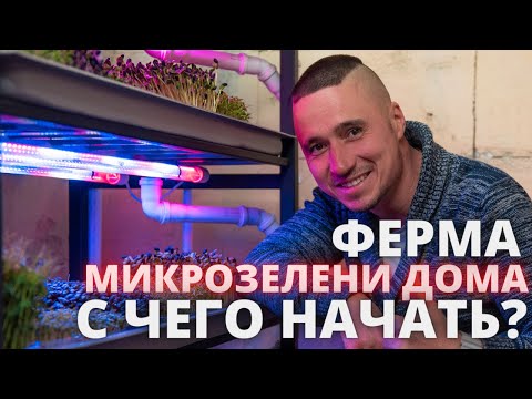 Ферма дома микрозелень с чего начинаем ?! огород круглый год витамины на столе своими руками