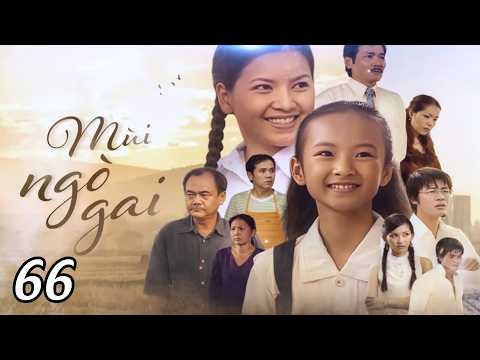 Mui Ngo Gai Episode 66/106 | Classic Vietnamese Drama | Ngoc Trinh, Hoa Hiep, Luong The Thanh...