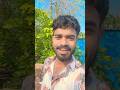 hame tumse uha hay pyar #trendingshorts #virlshort #youtubeshorts @VS_OFFICIAL9752