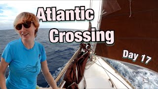 IT’S HAPPENING: Exciting Moment | Sailing Wisdom [S3 Ep30]