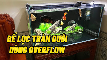 Bể 844 dùng lọc tràn dưới với hệ thống overflow rất gọn và hiệu quả