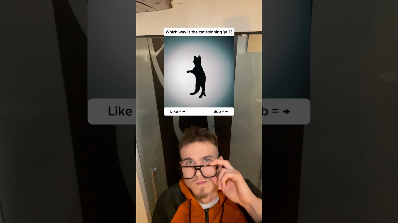 Which way is the cat spinning 🐈‍⬛ ?? 
