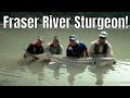 Fraser River Canyon Prehistoric Sturgeon Fishing | Fish'n Canada